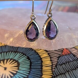 Coldwater Creek Sterling Silver and Deep Purple Earrings